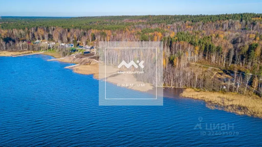 Участок в Ленинградская область, Выборгский район, Рощинское городское ... - Фото 1