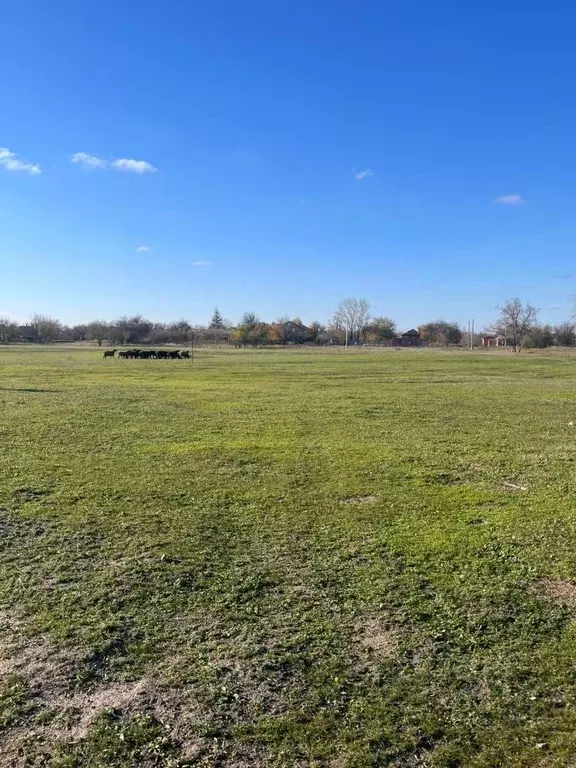 Участок в Ростовская область, Аксайский район, Старочеркасская ст-ца ... - Фото 1