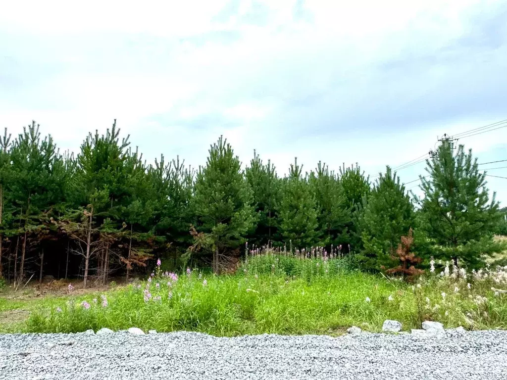 Участок в Свердловская область, Полевской муниципальный округ, с. ... - Фото 2