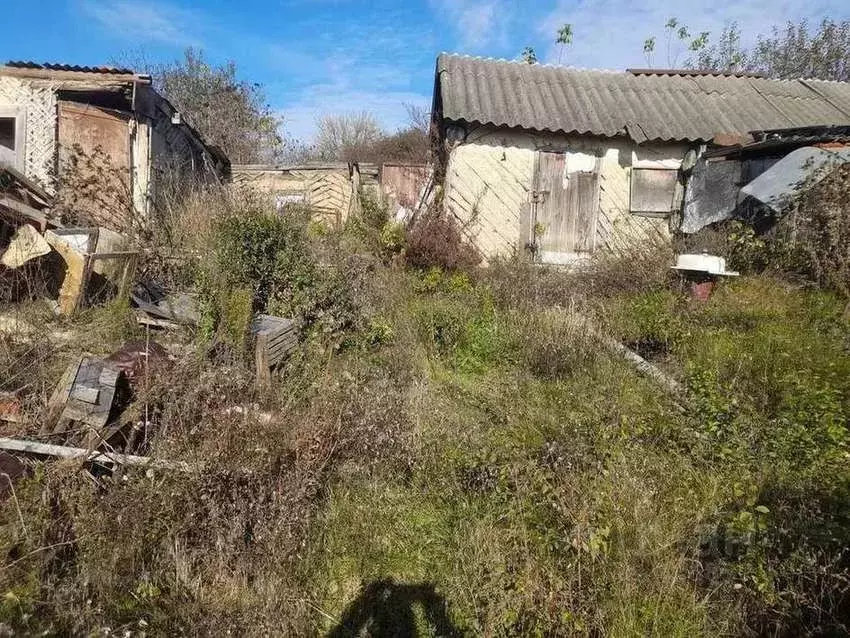 Участок в Белгородская область, Белгородский район, Пушкарское с/пос, ... - Фото 1