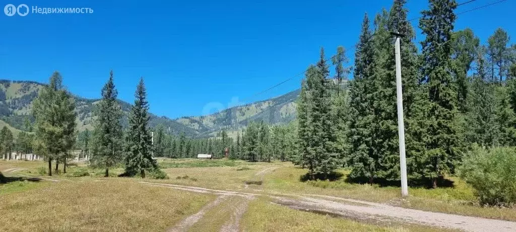 Участок в Усть-Коксинский район, посёлок Тюгурюк (10 м) - Фото 1