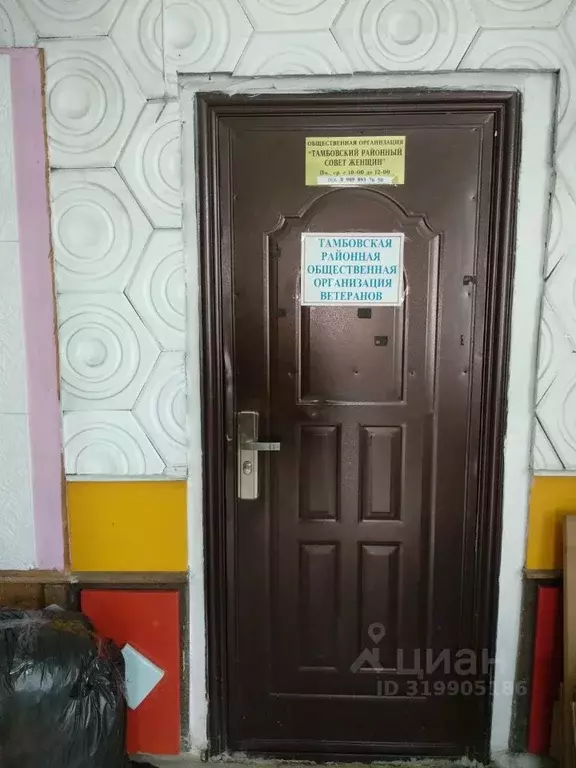 Помещение свободного назначения в Амурская область, с. Тамбовка ул. ... - Фото 0