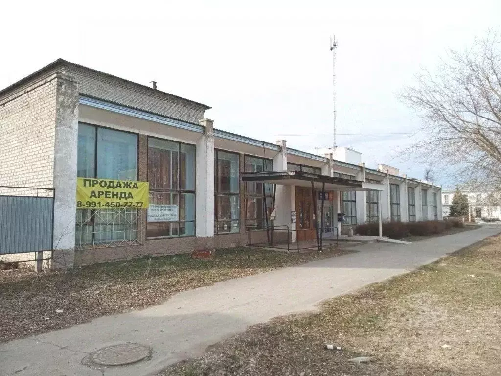 Помещение свободного назначения в Кировская область, Малмыж ул. ... - Фото 1