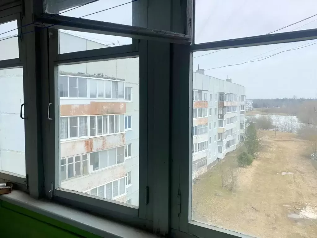3-к кв. Новгородская область, Окуловский муниципальный район, ... - Фото 2