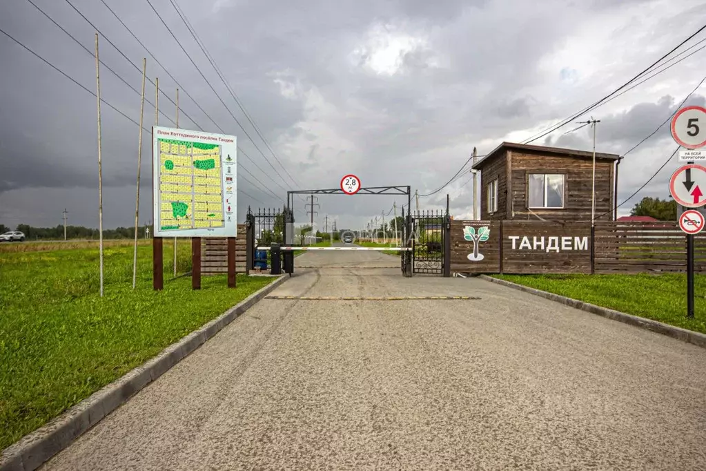 Участок в Новосибирская область, Новосибирский район, Березовский ... - Фото 1