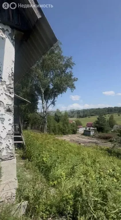 Участок в Майминский район, посёлок Дубровка (9 м) - Фото 2