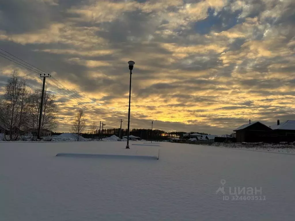 Участок в Челябинская область, Сосновский муниципальный округ, ... - Фото 1