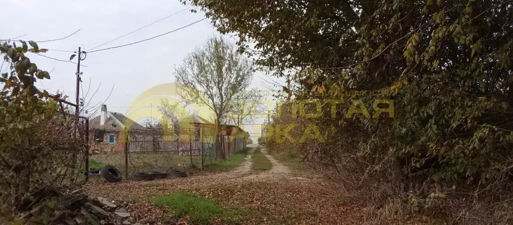 Участок в Краснодарский край, Темрюкский район, Ахтанизовская ст-ца ... - Фото 1