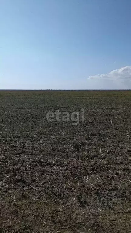 Участок в Крым, Черноморский район, с. Красная Поляна ул. ... - Фото 1