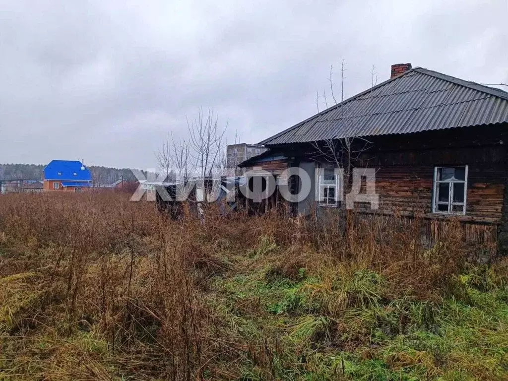Участок в Новосибирская область, Новосибирский район, с. Барышево ул. ... - Фото 0