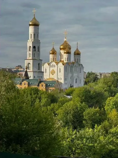 Участок в Брянская область, Брянск Топальская ул. (12.0 сот.) - Фото 1