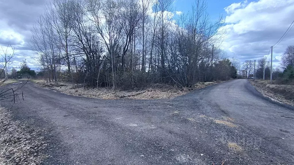 Участок в Московская область, Талдомский городской округ, д. Бородино  ... - Фото 1