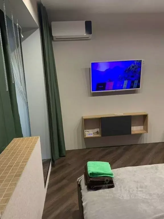 Студия Санкт-Петербург пос. Шушары, просп. Новгородский, 2к1 (27.0 м) - Фото 2