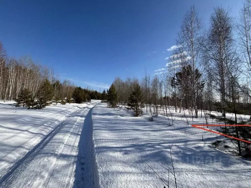 Участок в Иркутская область, Шелеховский район, Баклашинское ... - Фото 1