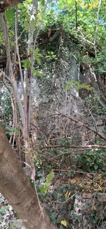 Участок в Крым, Ялта ул. Мошкарина, 9 (8.5 сот.) - Фото 1