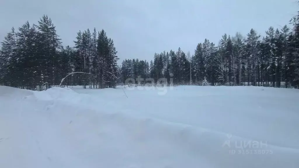 Участок в Коми, Сосногорск муниципальный округ, Сосногорск ... - Фото 0
