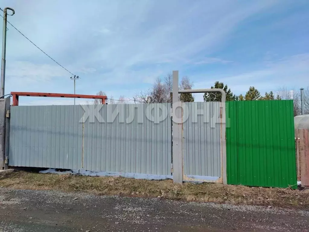 Участок в Новосибирская область, Новосибирский район, Кудряшовский ... - Фото 1