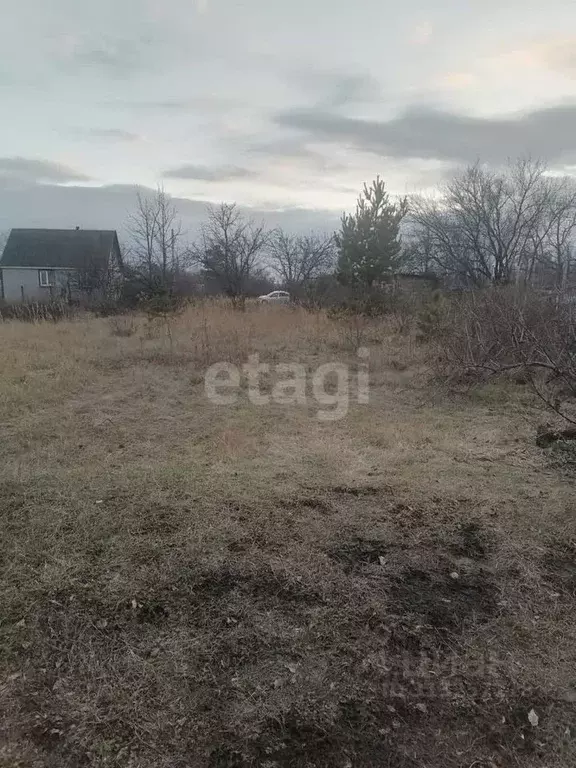 Участок в Воронежская область, Воронеж Сельские зори СНТ,  (12.0 сот.) - Фото 1