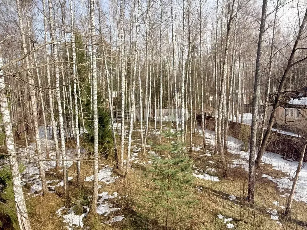 Участок в Московская область, Одинцовский городской округ, д. ... - Фото 2