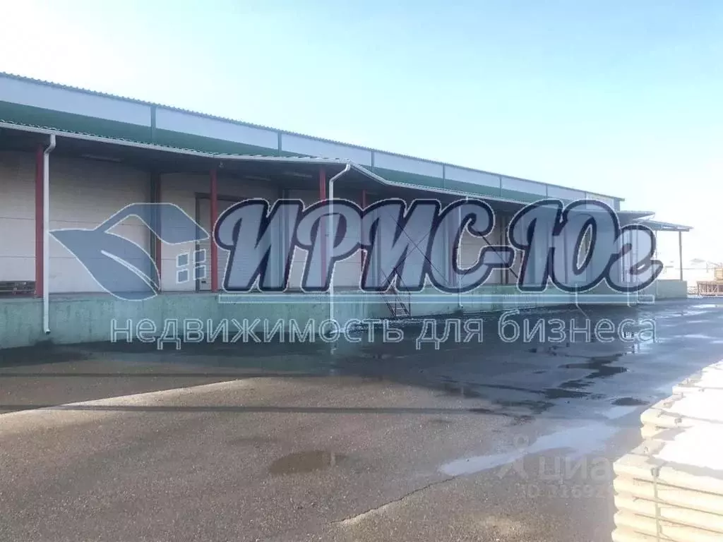 Склад в Краснодарский край, Краснодар ул. Горячеключевская, 2 (1200 м) - Фото 2