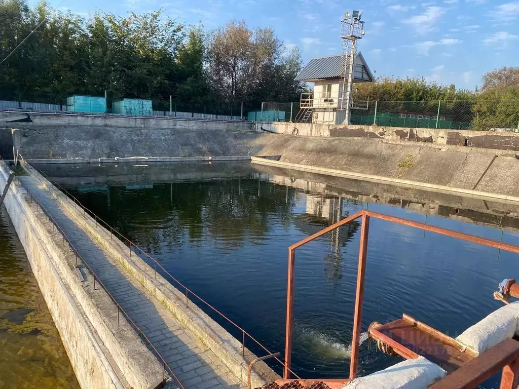 Производственное помещение в Белгородская область, Белгород Речная ... - Фото 2