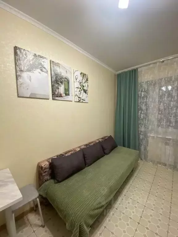 1-к кв. Еврейская автономная область, Биробиджан ул. Шолом-Алейхема, ... - Фото 2