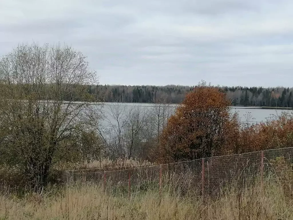Участок в Ленинградская область, Лодейнопольский район, Алеховщинское ... - Фото 0