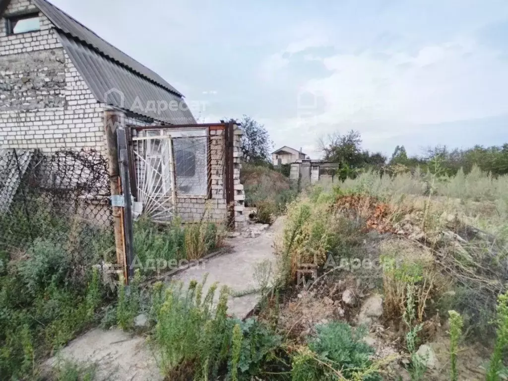 Участок в Волгоградская область, Волгоград 40 лет Октября СНТ, 2-й ... - Фото 2