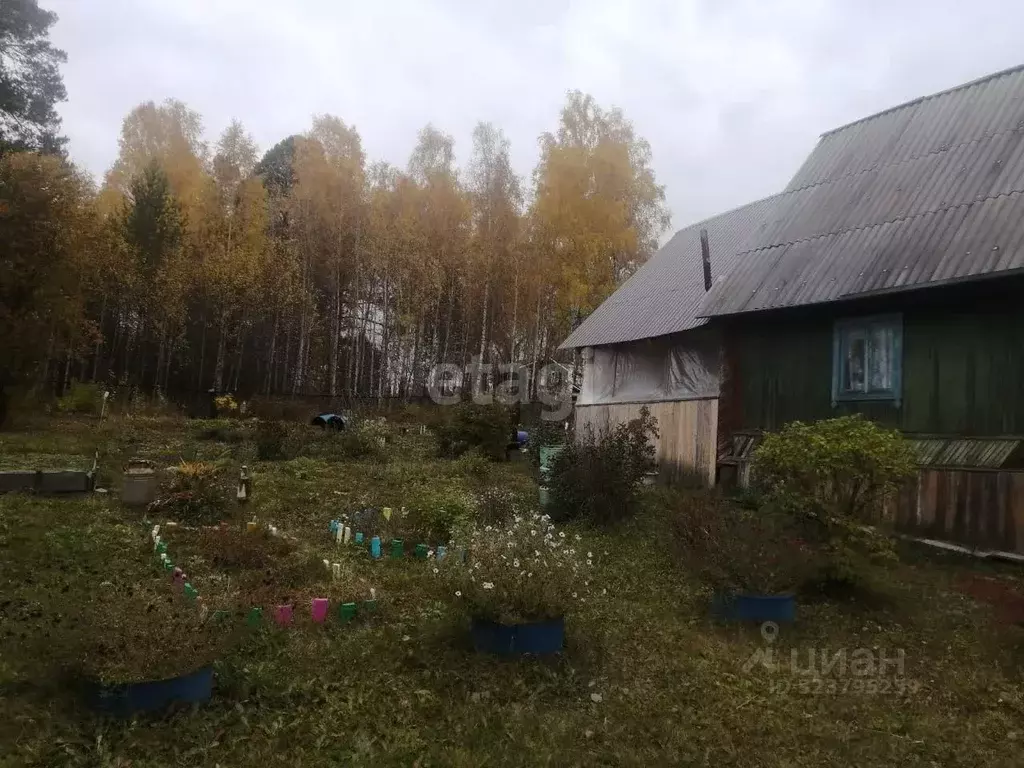 Участок в Красноярский край, Емельяновский муниципальный округ, Кедр ... - Фото 1