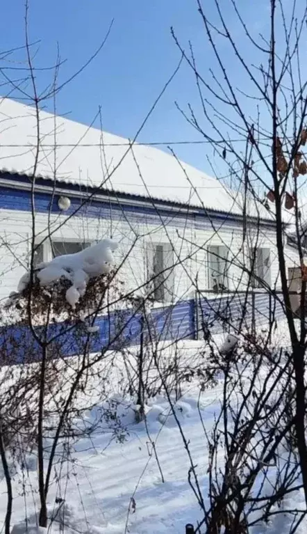 Дом в Кемеровская область, Беловский муниципальный округ, с. Вишневка ... - Фото 1