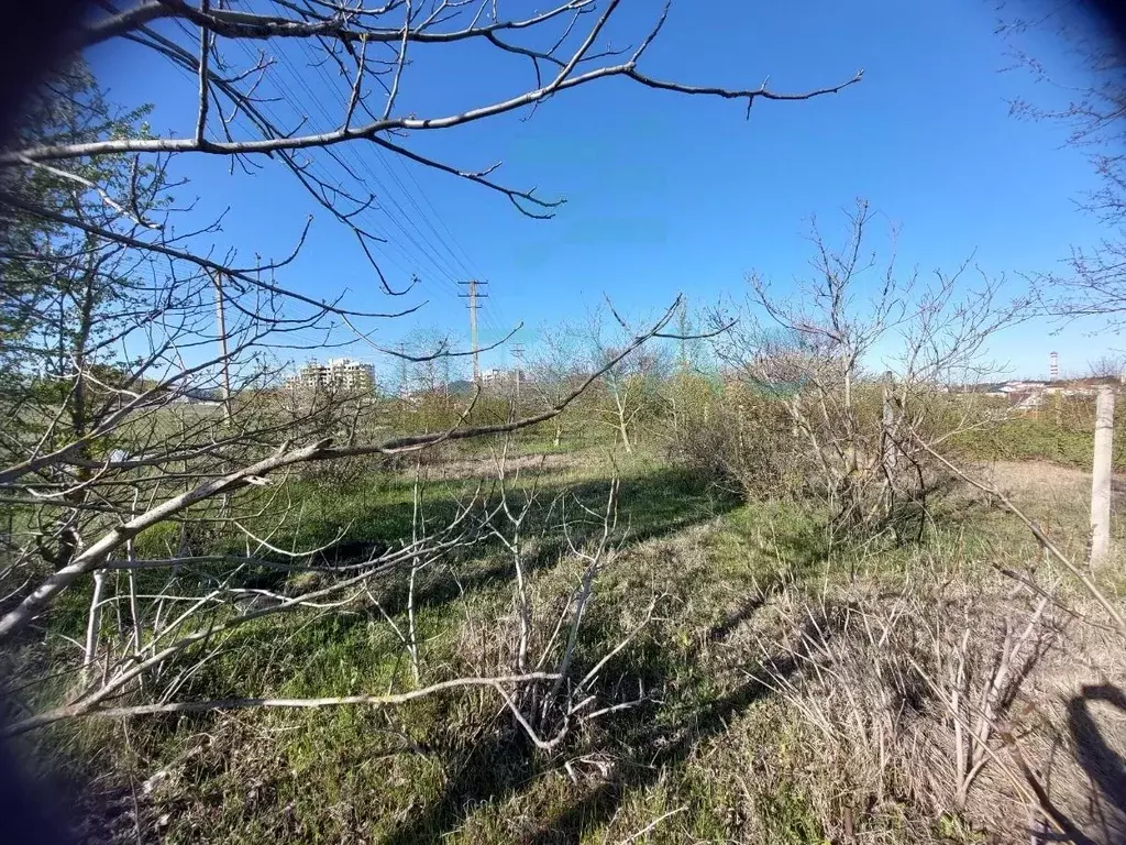 Участок в Крым, Симферопольский район, Молодежное пгт ул. Ай-Петри, 47 ... - Фото 1