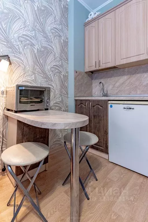 Студия Санкт-Петербург ул. Адмирала Черокова, 18к1 (24.1 м) - Фото 2