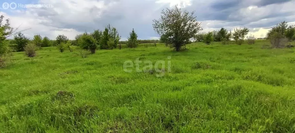 Участок в Рамонский район, Русскогвоздёвское сельское поселение, село ... - Фото 0