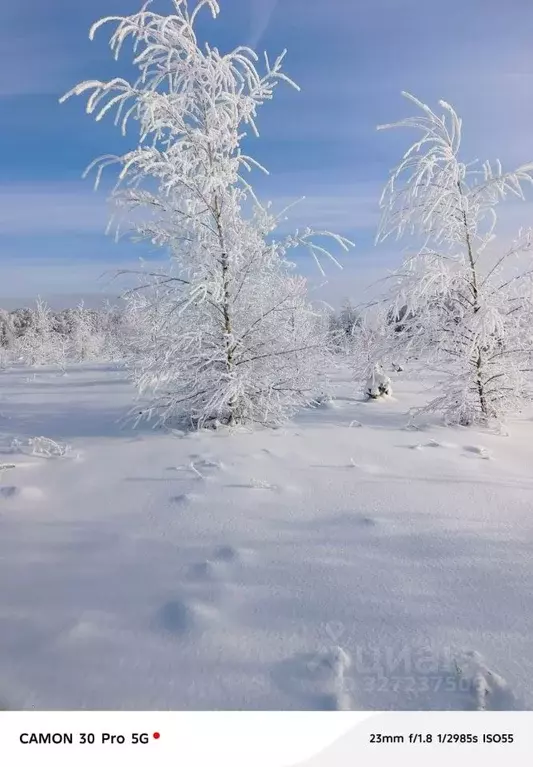 Участок в Нижегородская область, с. Безводное  (10.0 сот.) - Фото 1