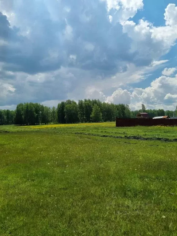 Участок в Челябинская область, Аргаяшский муниципальный округ, д. ... - Фото 2