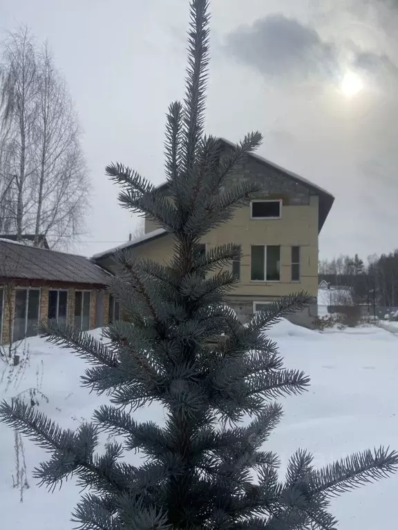 Дом в Свердловская область, Екатеринбург Визовец-5 СНТ, 376 (306 м) - Фото 0