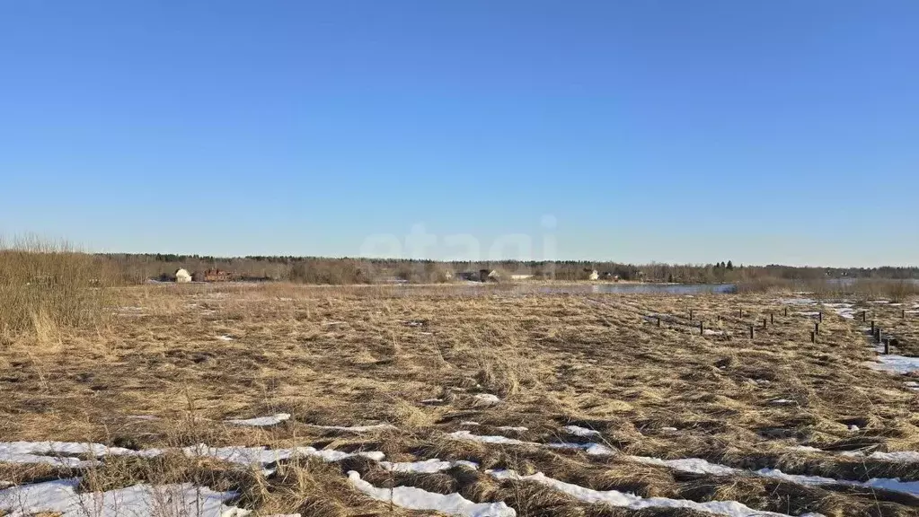 Участок в Ленинградская область, Волховский район, Староладожское ... - Фото 1