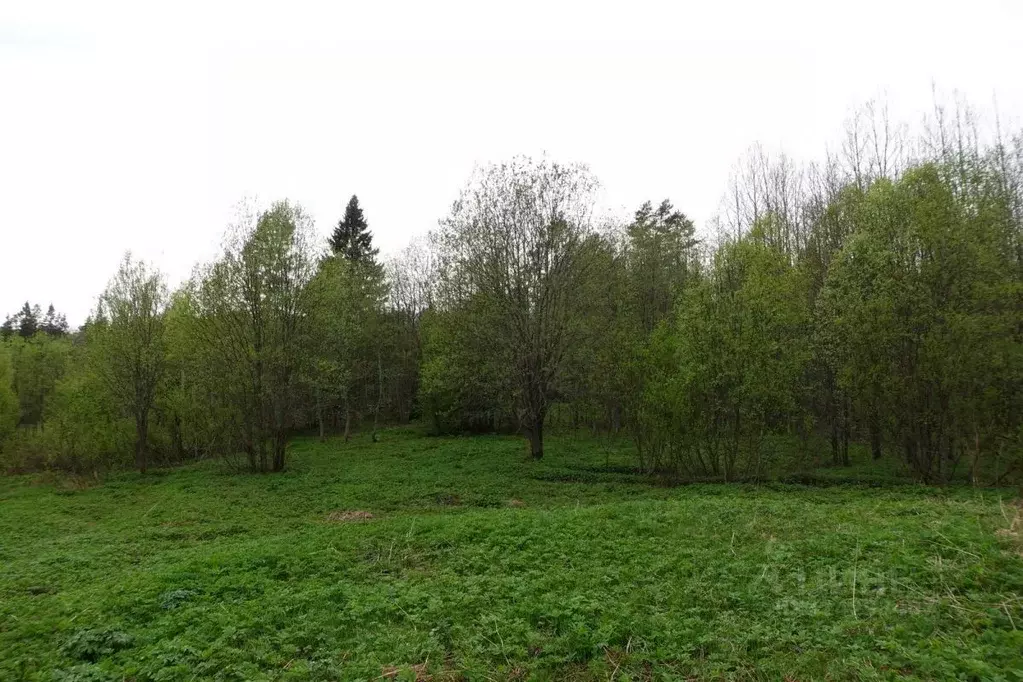 Участок в Карелия, Сортавальский муниципальный округ, пос. ... - Фото 1