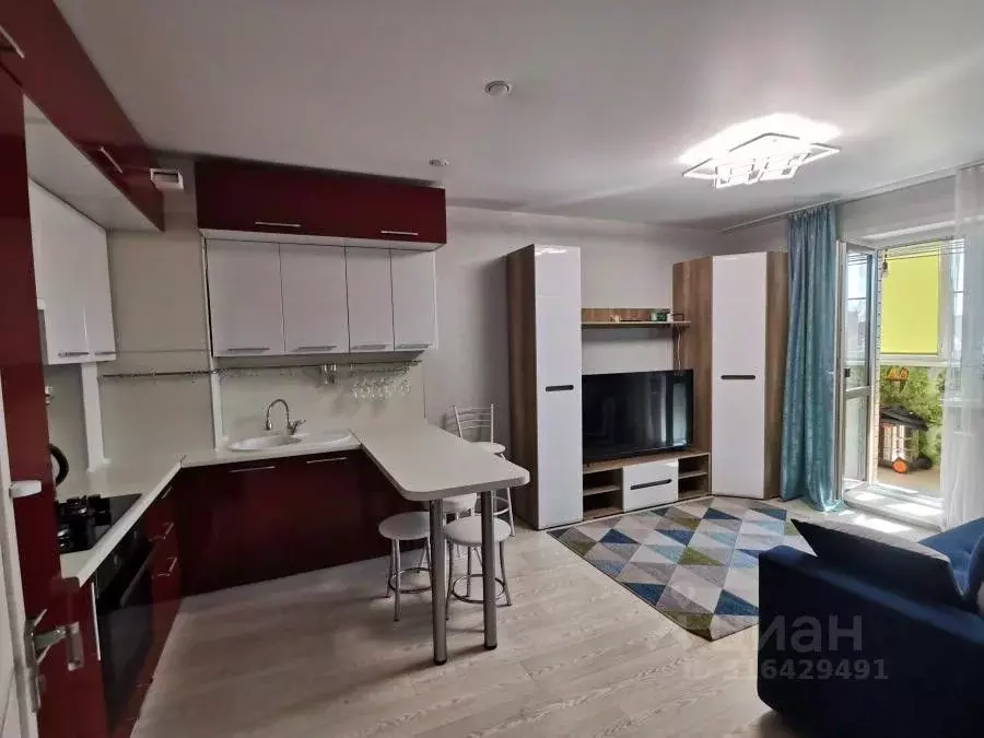 1-к кв. Воронежская область, Новоусманский район, Отрадненское с/пос, ... - Фото 1