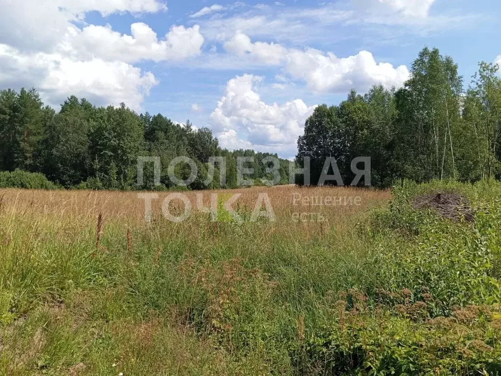 Участок в Новгородская область, Окуловский район, Турбинное с/пос, д. ... - Фото 1