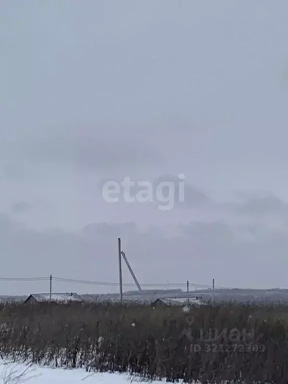 Участок в Белгородская область, Белгородский район, Головинское с/пос, ... - Фото 1