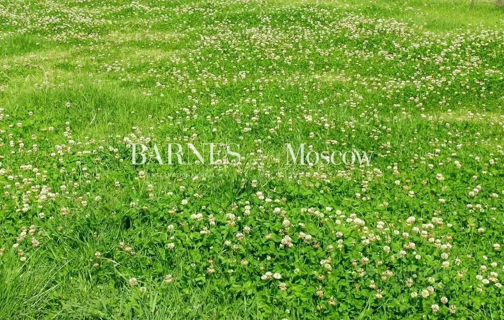 Участок в Московская область, Одинцовский городской округ, д. ... - Фото 2