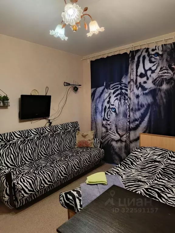 Студия Нижегородская область, Нижний Новгород бул. Южный, 17 (18.0 м) - Фото 1