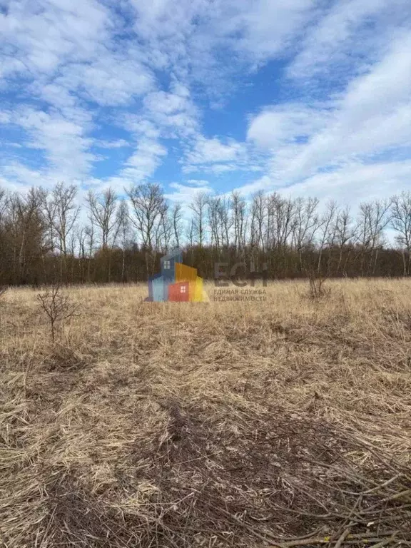 Участок в Тульская область, Тула городской округ, д. Ивановка  (10.0 ... - Фото 1