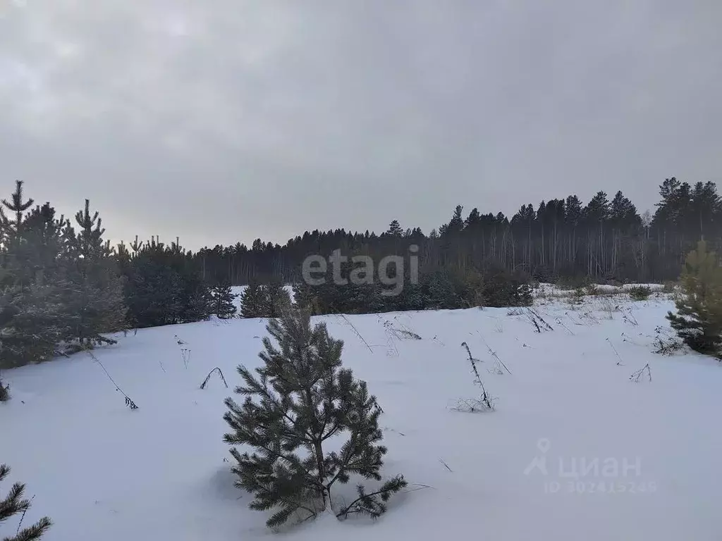 Участок в Иркутская область, Иркутский район, с. Максимовщина ул. ... - Фото 0