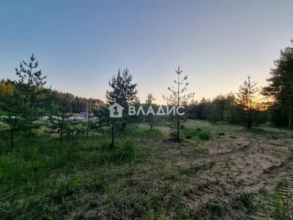 Участок в Владимирская область, Судогодский район, д. Ладога, Ладога ... - Фото 2