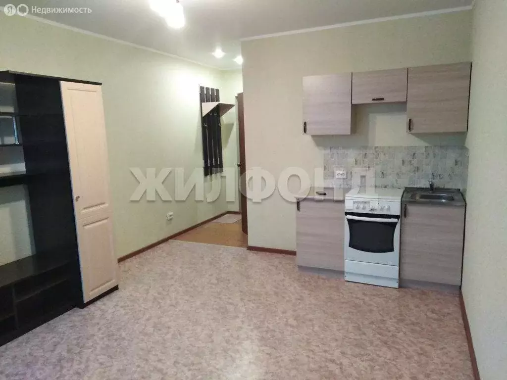 1-комнатная квартира: посёлок Копылово, улица 1 Мая, 4 (20 м) - Фото 2