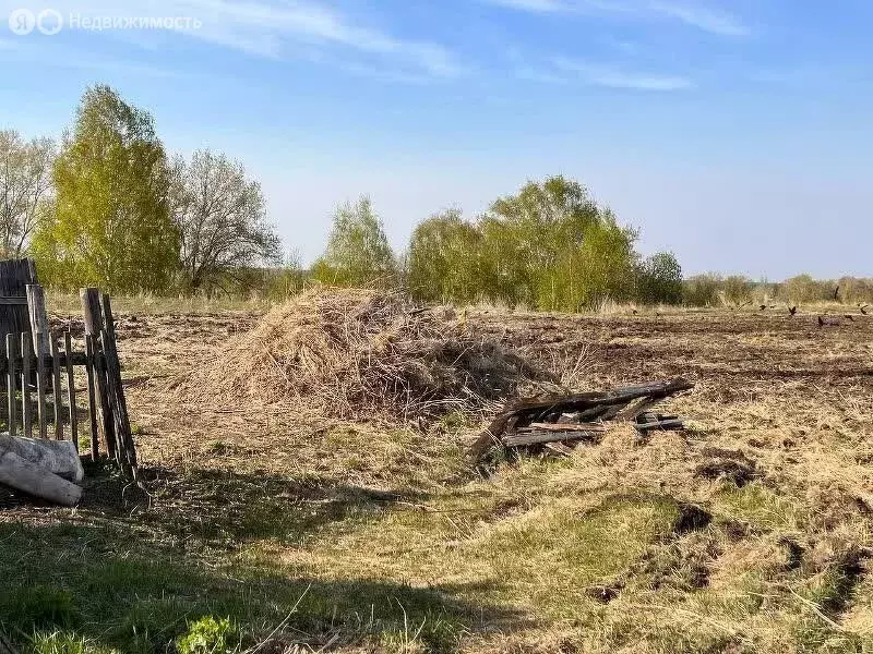 Участок в Тюменская область, Тобольский муниципальный округ, ... - Фото 1