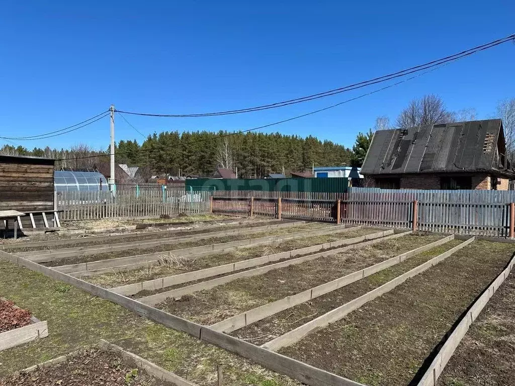 Участок в Новосибирская область, Новосибирск Олимпийское садовое ... - Фото 1