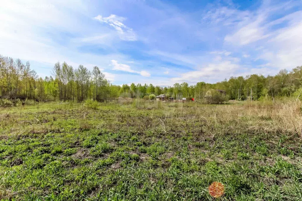 Участок в Тюмень, ДНТСН Зелёный Бор, Центральная улица (7.7 м) - Фото 2